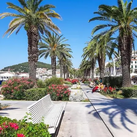 My Splity Nest Split