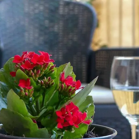 My Splity Nest * Сплит