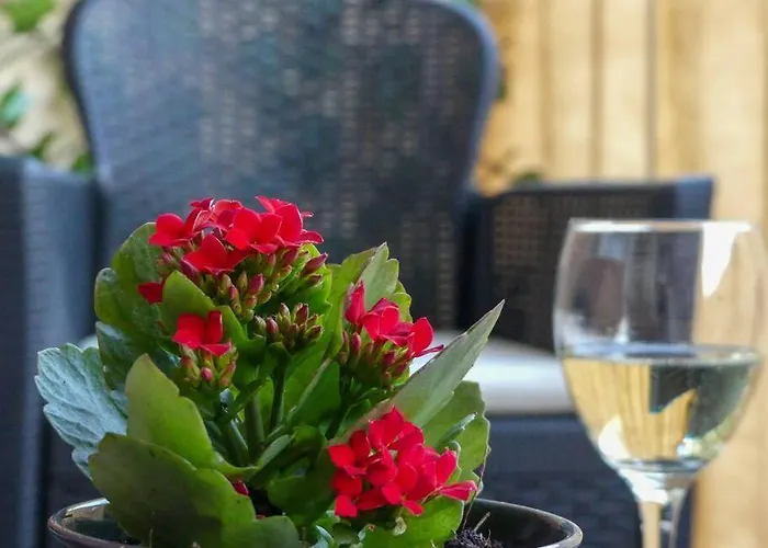 My Splity Nest * Split