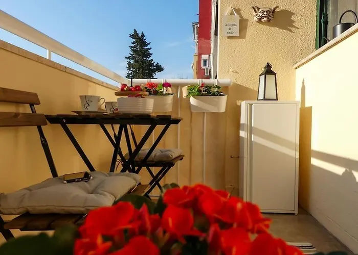 My Splity Nest * Split